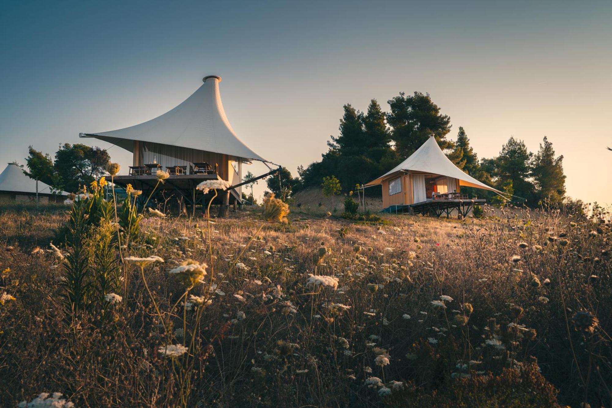 Ihousevillage Luxe tent Polychrono